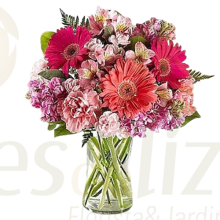 Imagem de PACK Viseu (Flores + Jarra) 