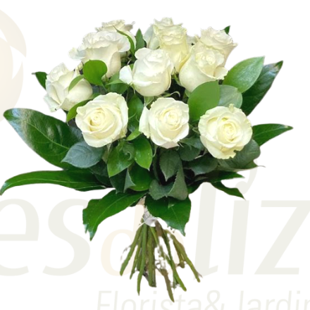 Image de 12 Roses Blanc
