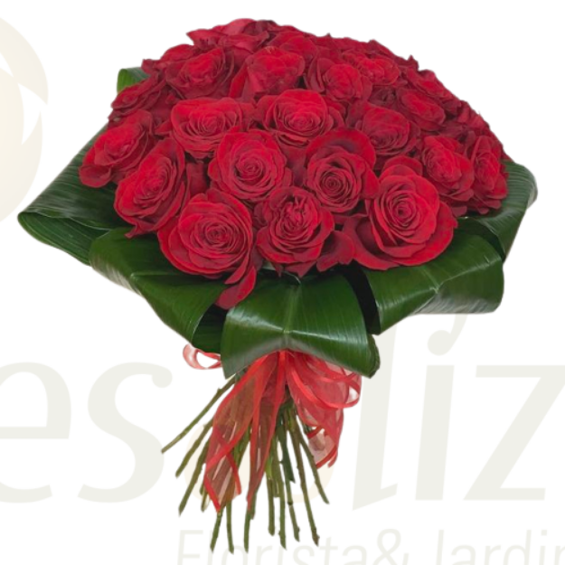 Picture of Bouquet Compact of  30 Red Roses - Valentine Days